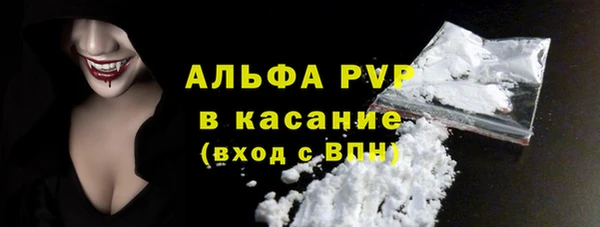 гашик Осинники