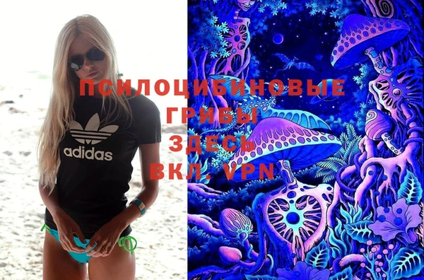 кокс Алзамай